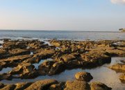 Pantai Lorena Lamongan: Tempat Wisata Tenang dan Gratis