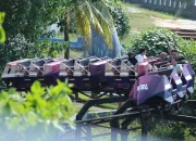 Realisasi Pajak Hiburan Lamongan Masih Rendah, Baru Capai 22,99 Persen