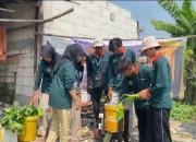 Mahasiswa KKN ITBAD Hadirkan Paster, Ubah Enceng Gondok Jadi Pakan Ternak