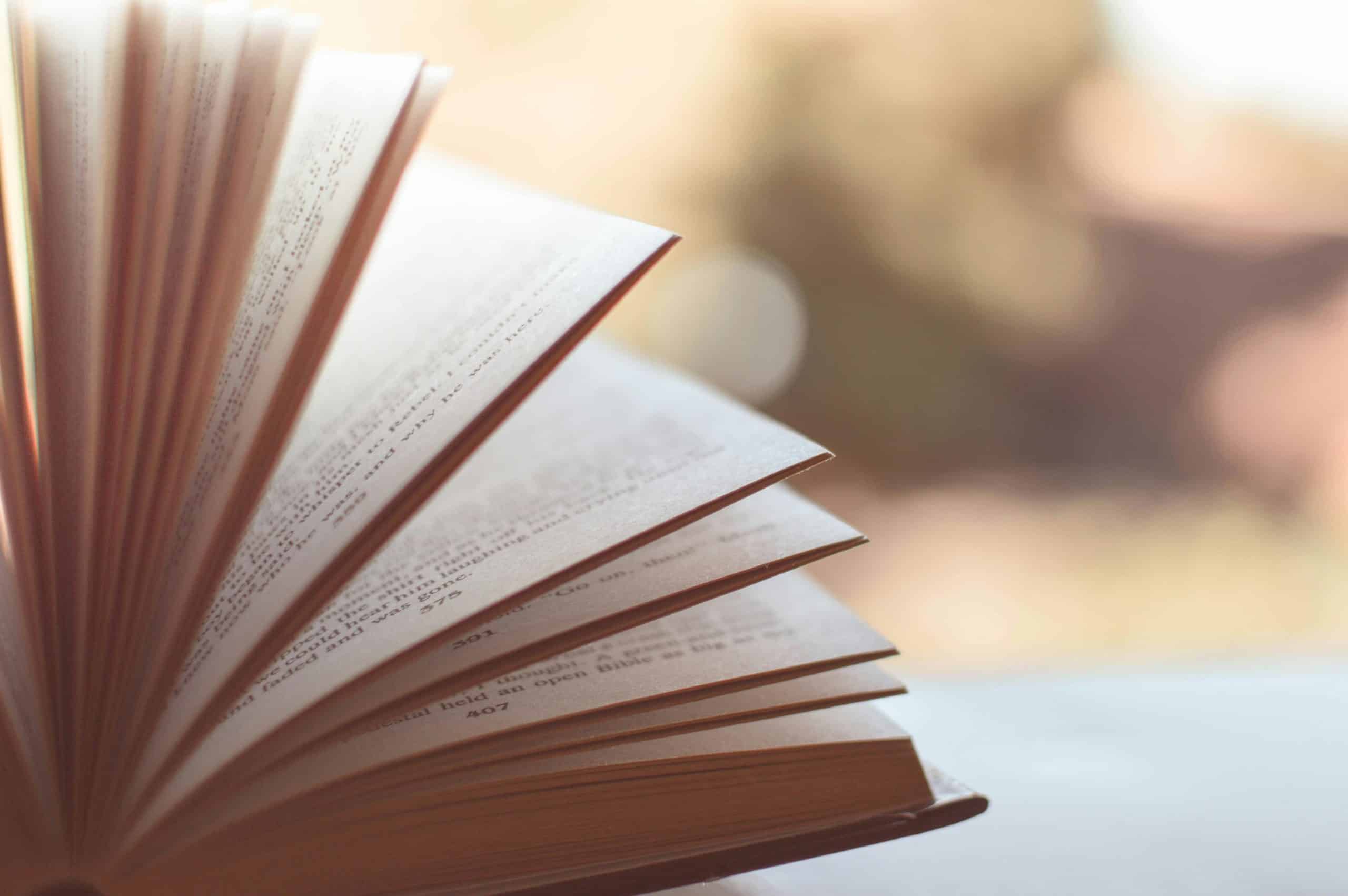 Mahasiswa Wajib Tahu! Ini Perbedaan IKAPI, ISBN, dan HAKI dalam Dunia Penerbitan