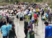 Penanaman Ribuan Mangrove Dilakukan di Pesisir Desa Paciran untuk Cegah Banjir Rob