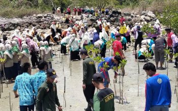 Penanaman Ribuan Mangrove Dilakukan di Pesisir Desa Paciran untuk Cegah Banjir Rob